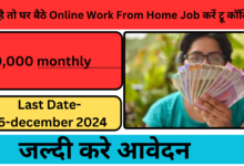 Online Work From Home Job